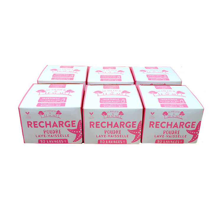 LOT DE 4 RECHARGES POUDRE LAVE VAISSELLE