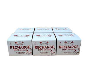 LOT DE 4 RECHARGES CREME NETTOYANTE MULTIUSAGE